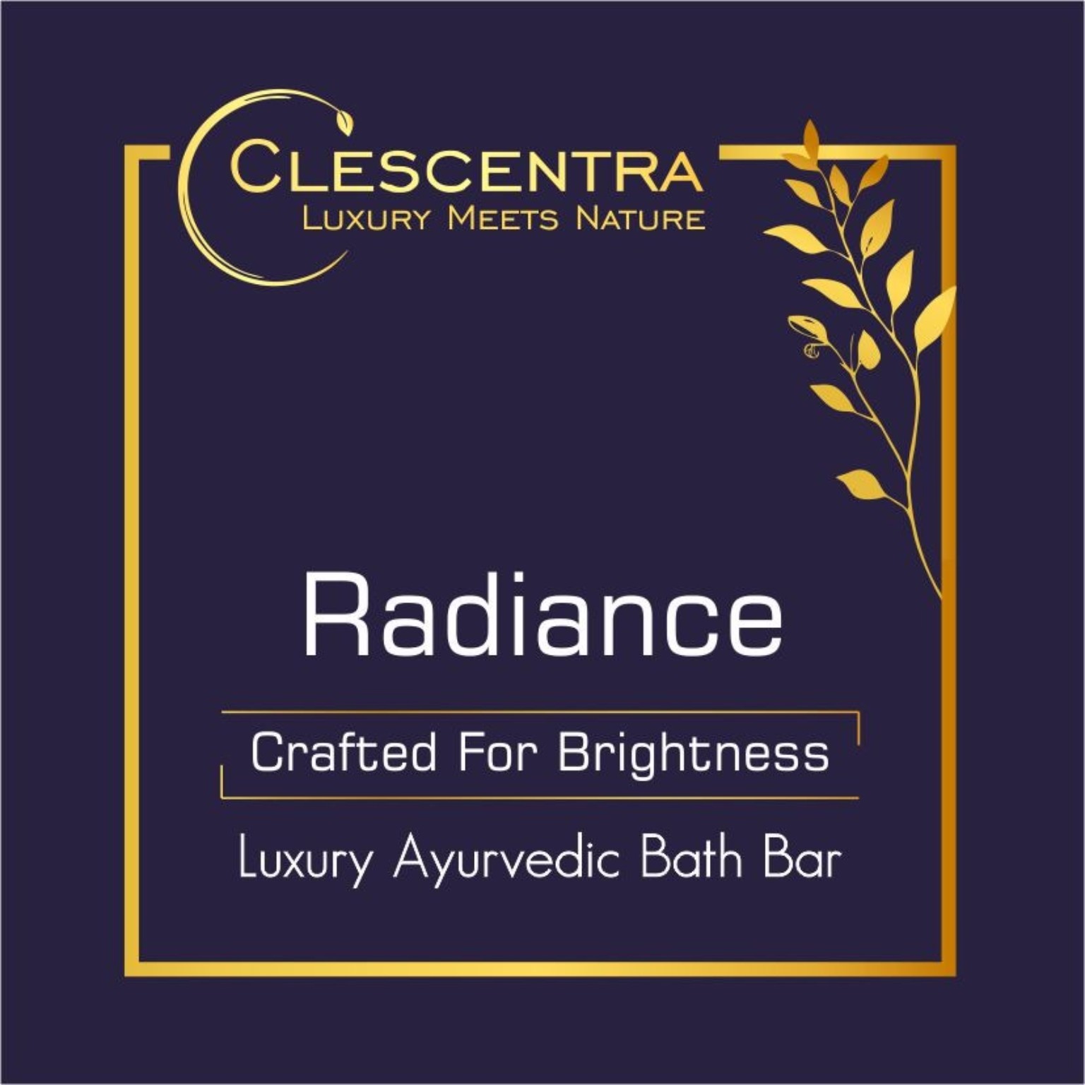 Radiance Luxury Ayurvedic Bath Bar